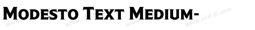 Modesto Text Medium字体转换
